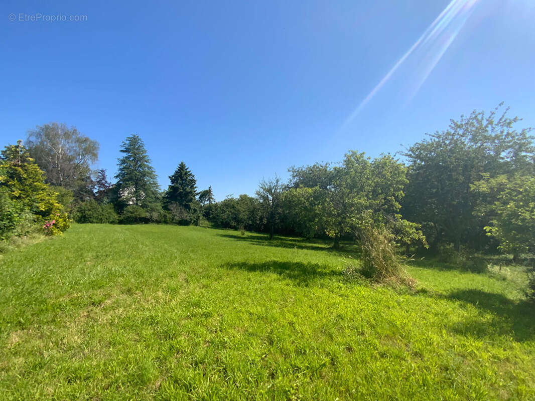 Terrain à LE BREUIL