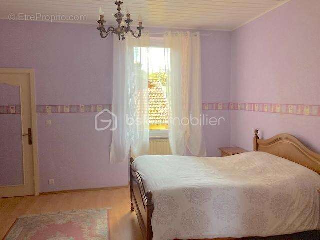 Grande maison familiale avec jardin, garages et dépendances - photo 3