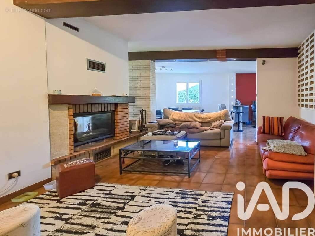 Photo 3 - Maison à AUSSONNE