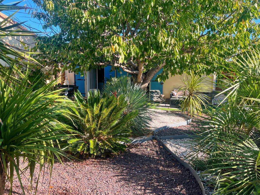 Maison à MARSEILLAN