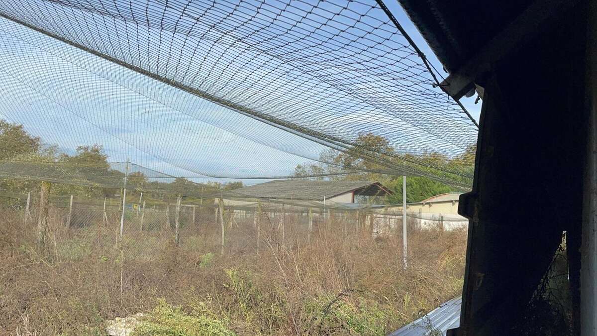 Photo 7 - Maison à SAINT-DIDIER-D'AUSSIAT