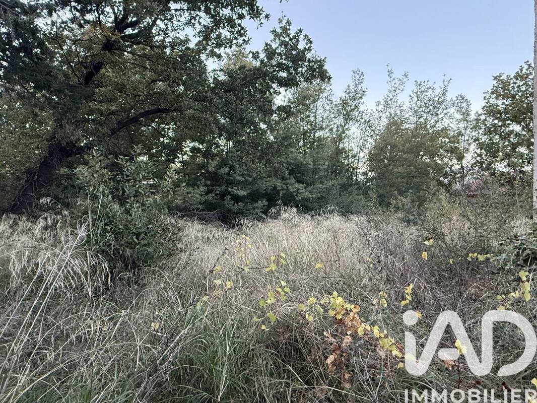 Photo 1 - Terrain à CANOHES