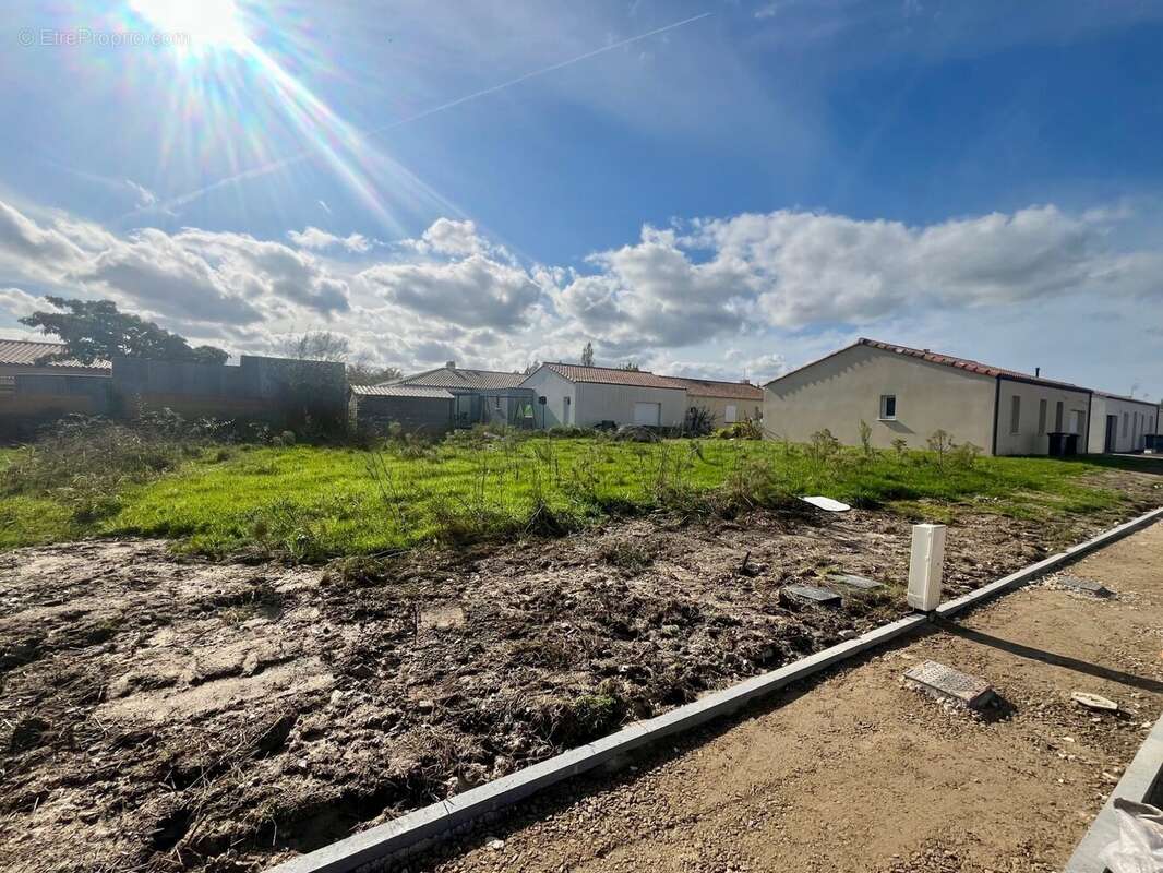 Terrain à BOIS-DE-CENE