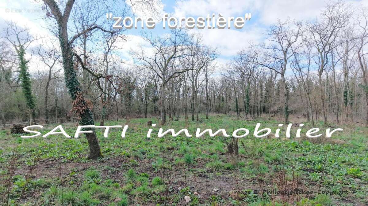 Photo 4 - Terrain à MOISSON