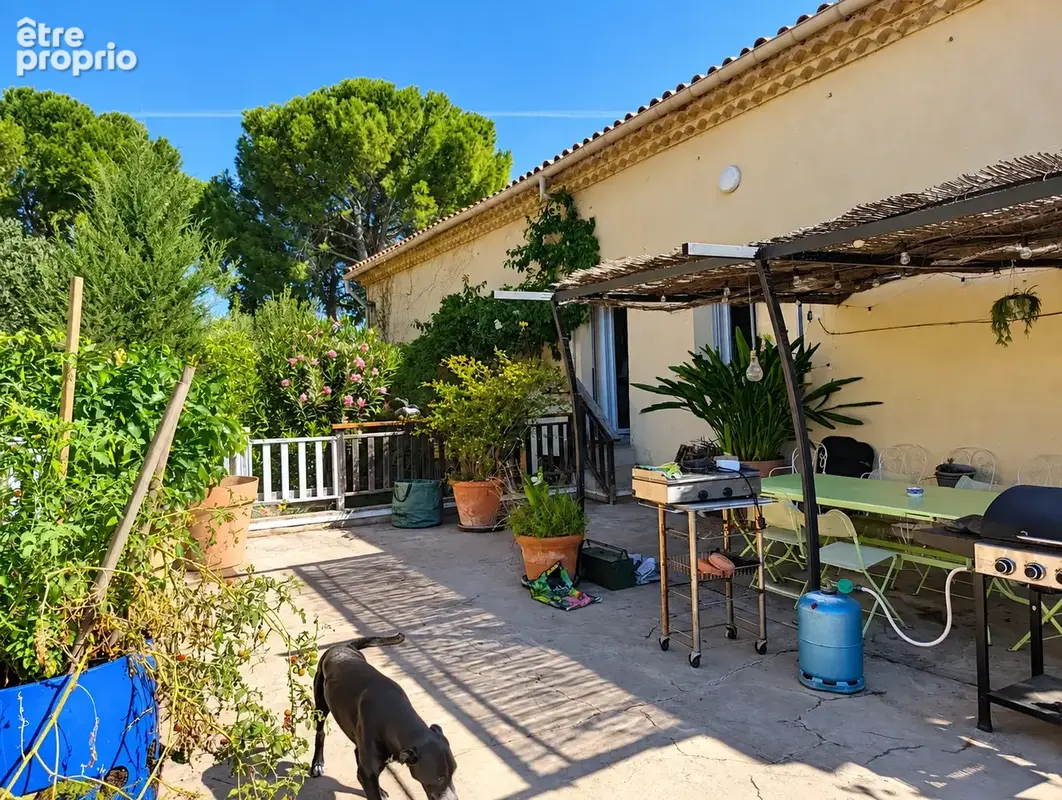 Maison vigneronne 4 faces   170 m2, 5 chambres, piscine et grand garage et jardin - photo 12
