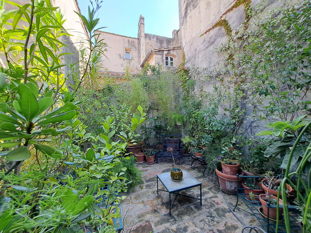 Hotel Particulier Arles centre-ville - photo 19