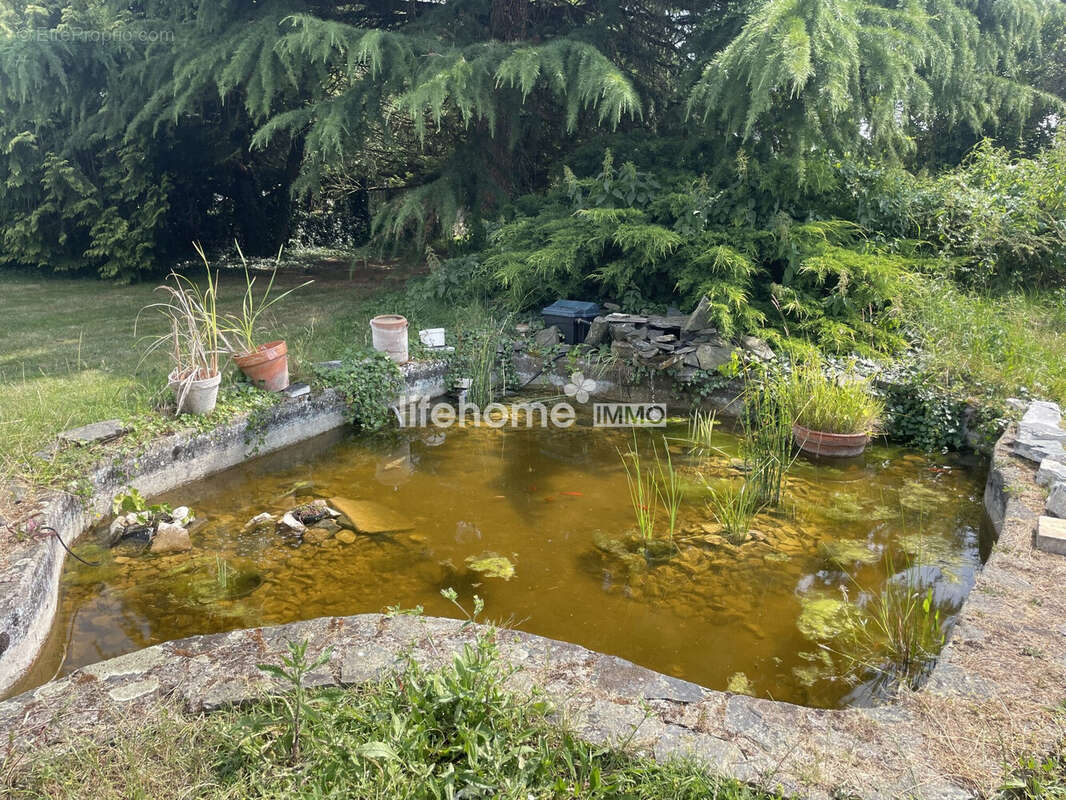 Commerce à CHATEAUROUX