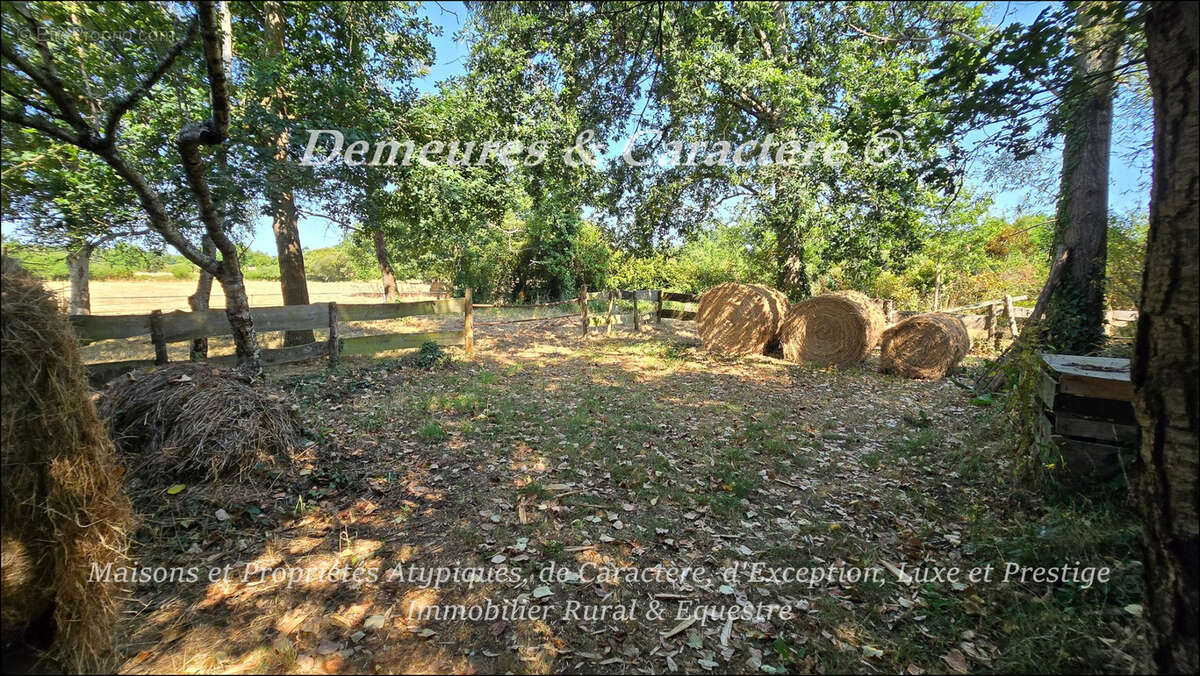 Maison avec piscine et dépendances - photo 42