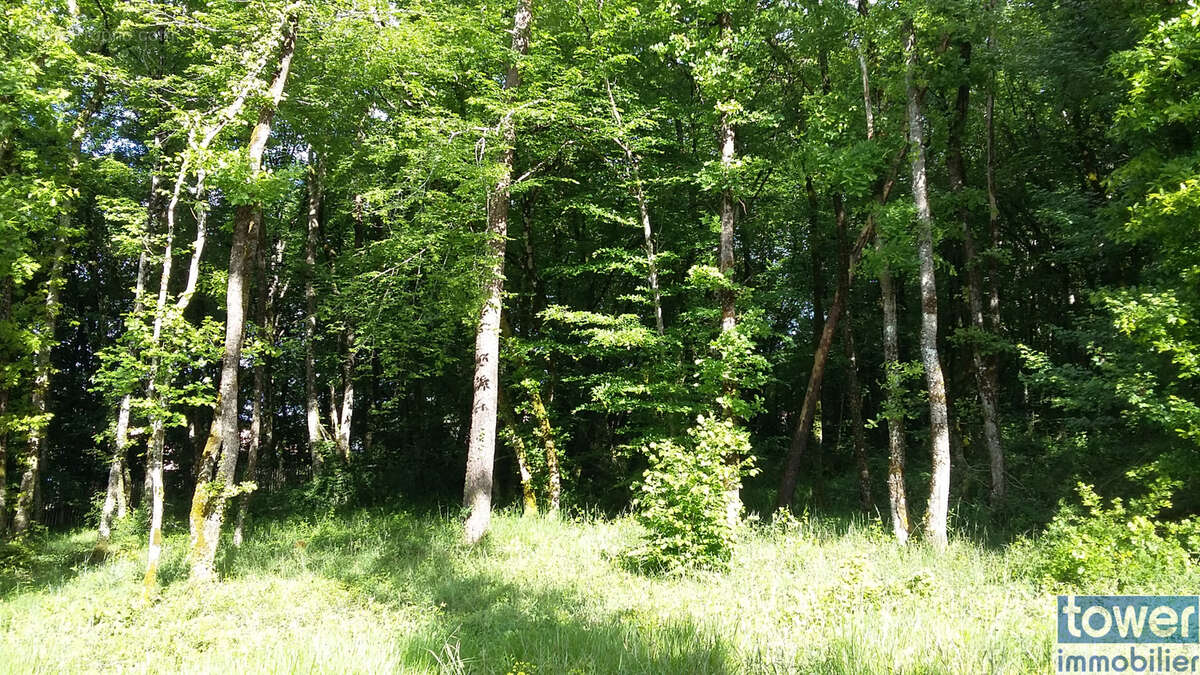 Terrain à PRANZAC