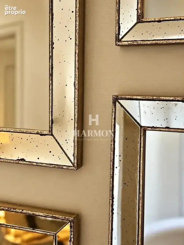 Harmon immobilier – à vendre  labastide-villefranche – authentique bastide médiévale – maison de caractère de 145 m² – 3 chambre - photo 16