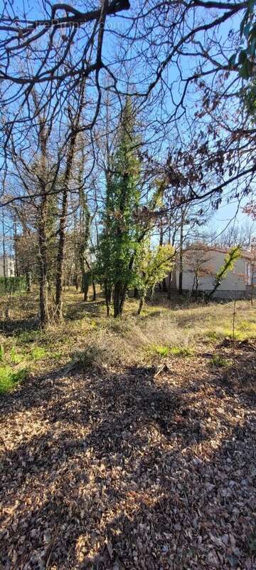 Terrain à TERRE-CLAPIER