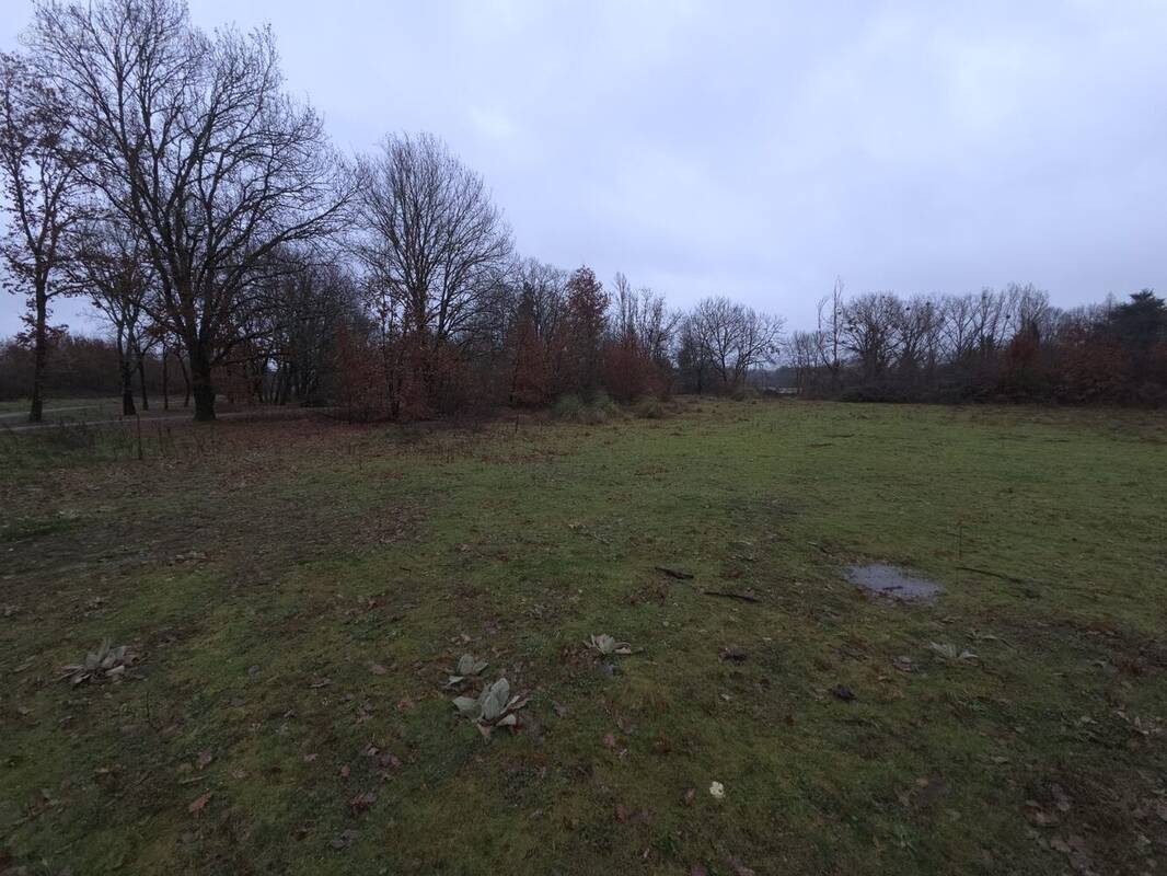 Terrain à MONTCARET