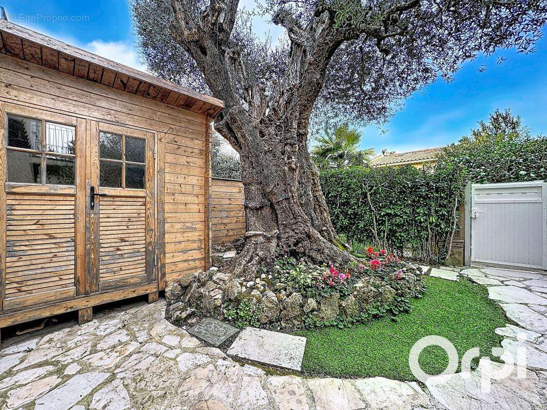 Maison à VILLENEUVE-LOUBET