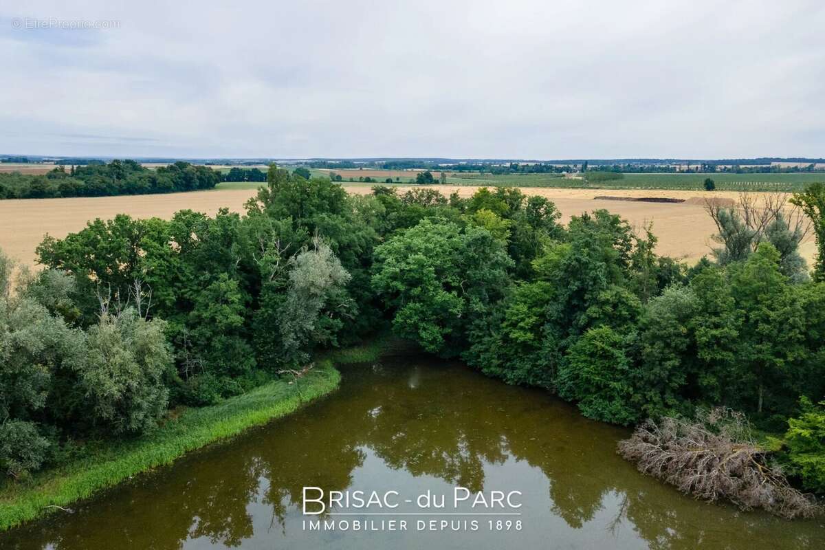 Terrain à SAINT-LEGER-TRIEY