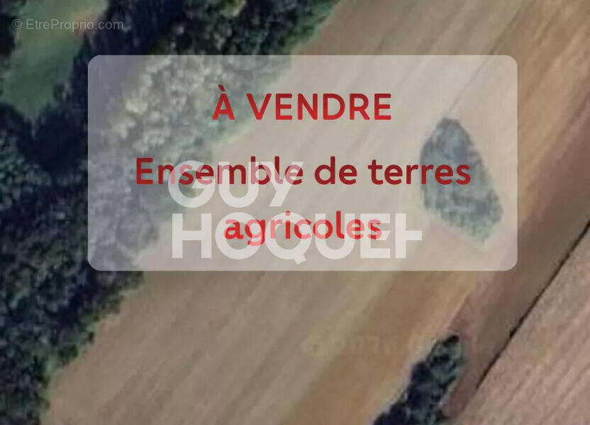 Terrain à OZENX-MONTESTRUCQ