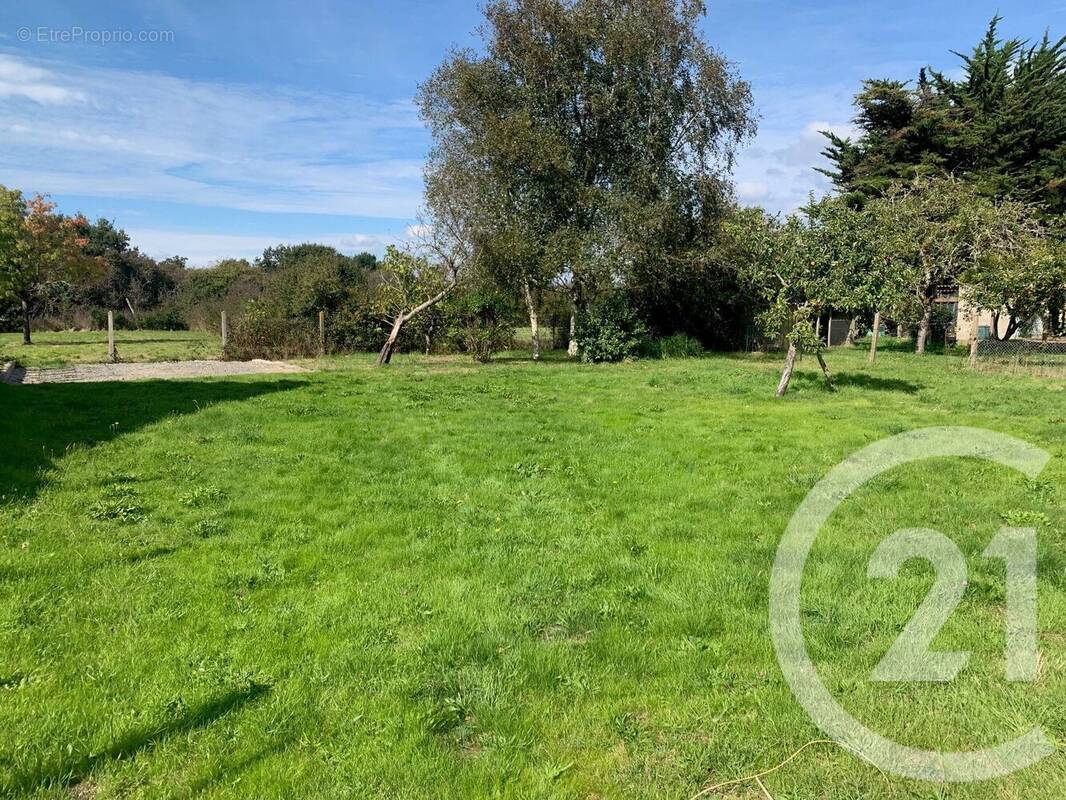 Terrain à PENESTIN