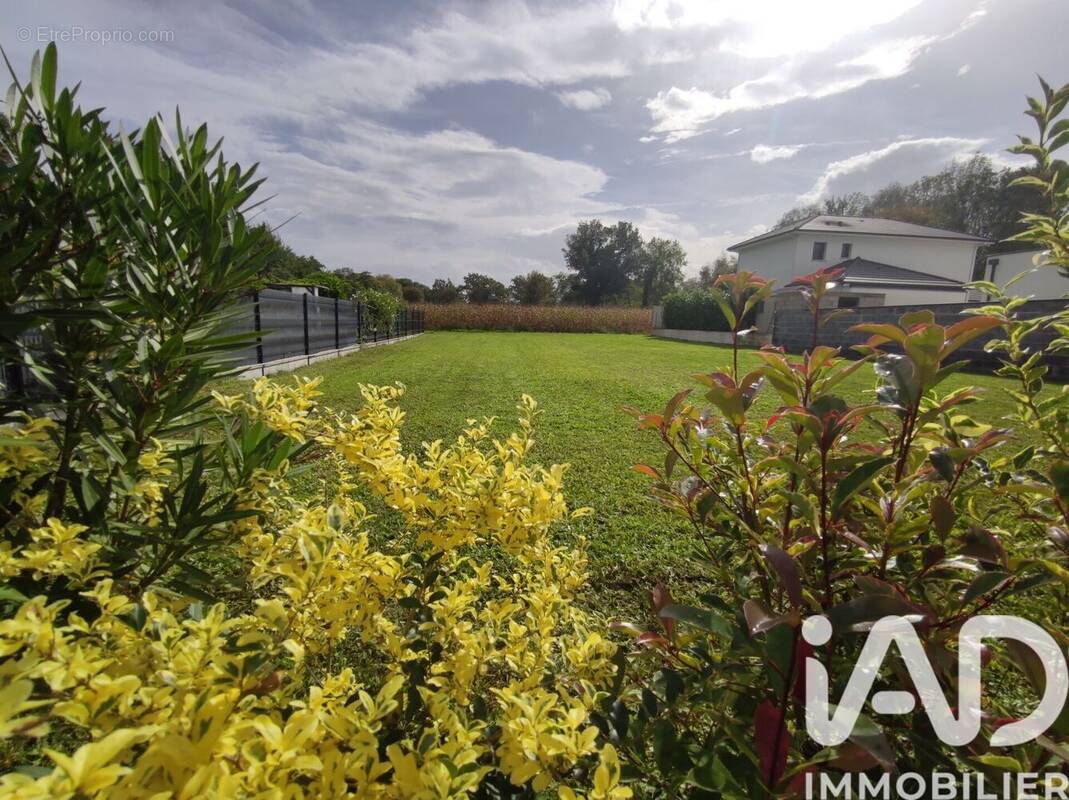 Photo 1 - Terrain à IDRON