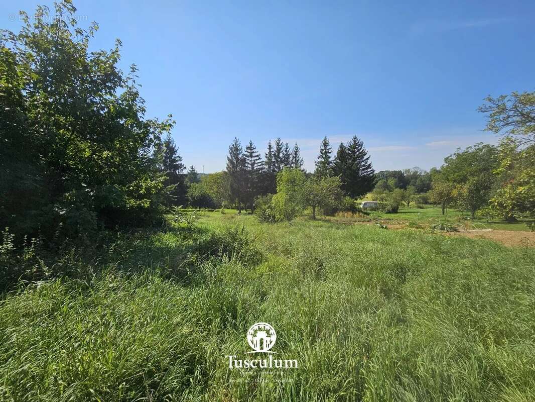 Terrain à REMOIVILLE