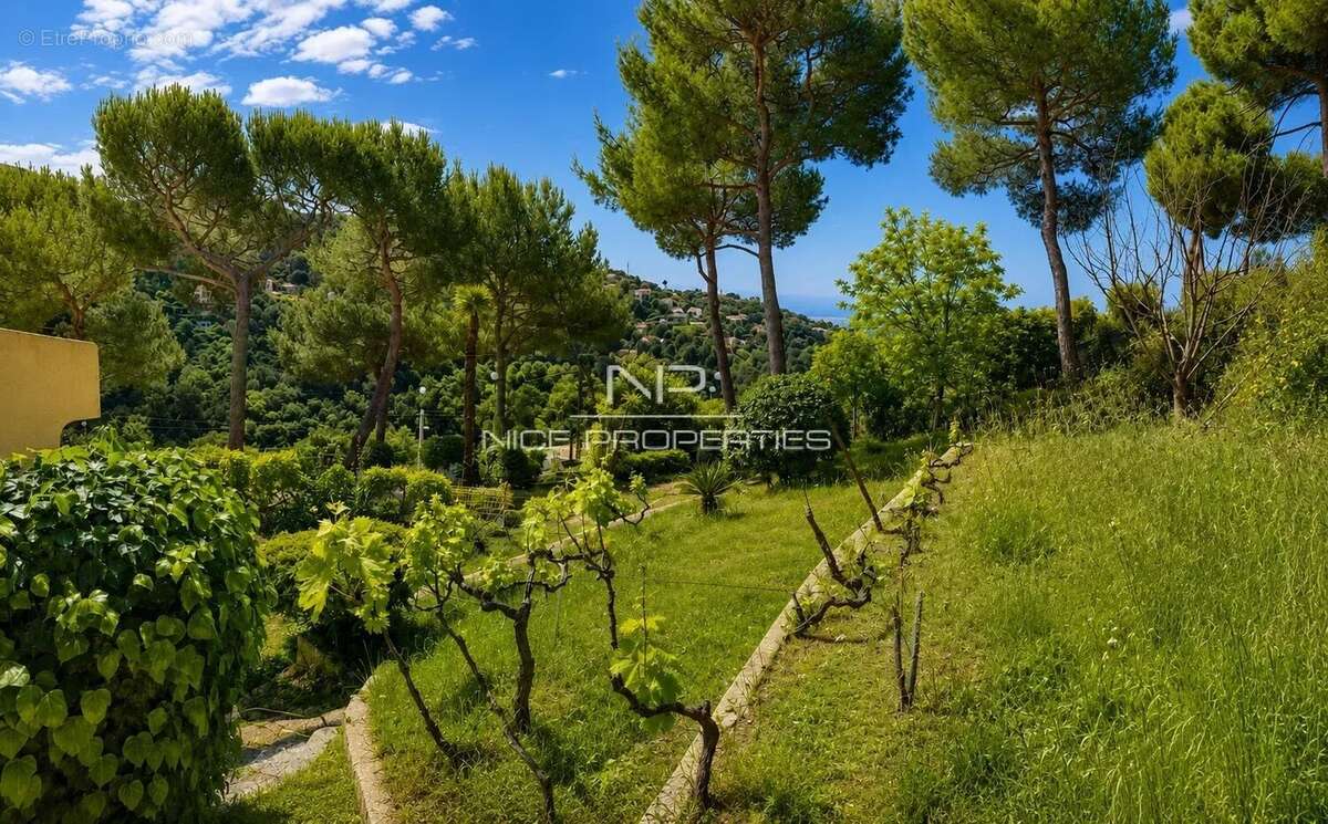 Nice, Saint Pancrace, superbe villa 6 pièces, Vue mer - photo 5