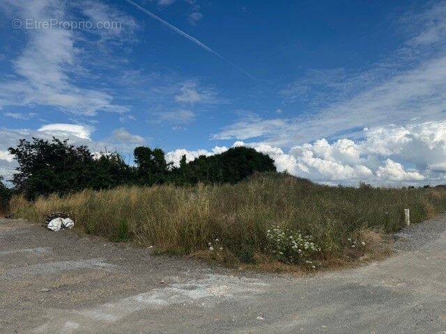 Terrain à DOMPIERRE-SUR-MER