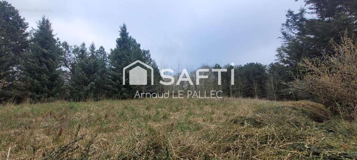 Photo 4 - Maison à REGUINY