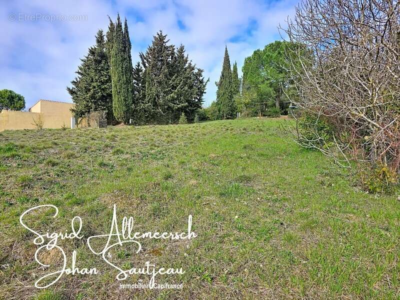 À vendre – Terrain de 798 m² MONTCLAR (11250 Aude) - photo 3