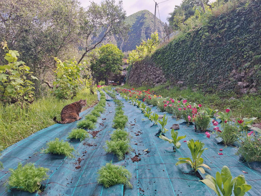 Maison à BREIL-SUR-ROYA