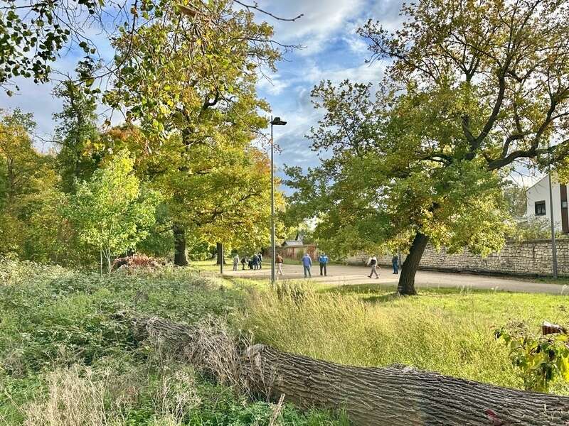 Appartement à ACHERES