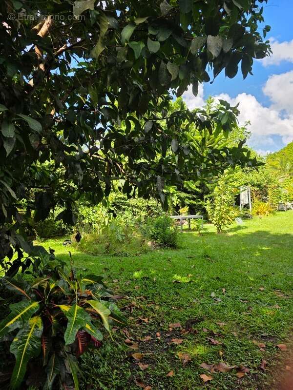 Maison à BAIE-MAHAULT