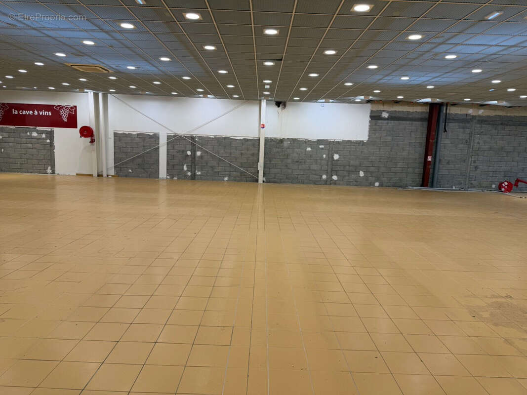 COLMAR - Zone Aérodrome - 4 rue Louis Blériot - 709 m2 - photo 9