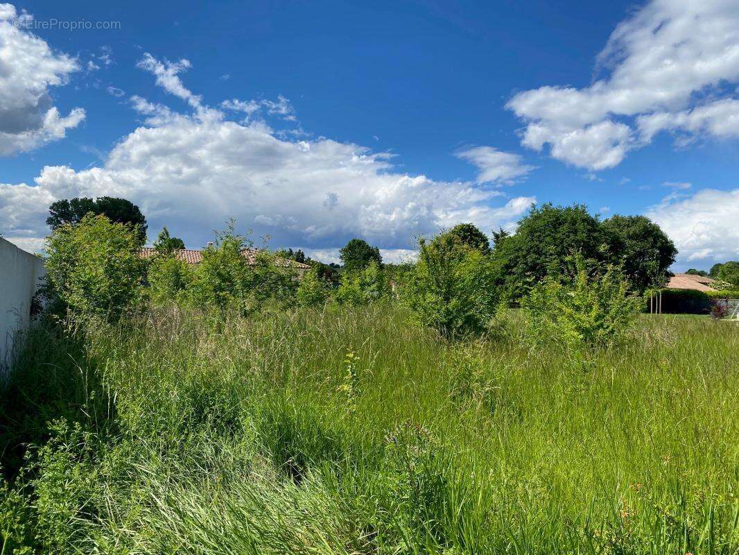 Terrain à ALLEX