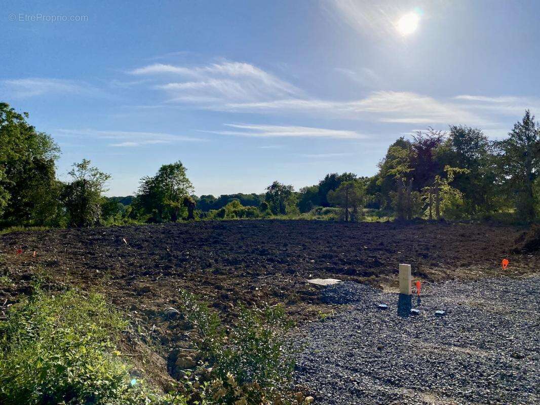 Terrain à DIVES-SUR-MER