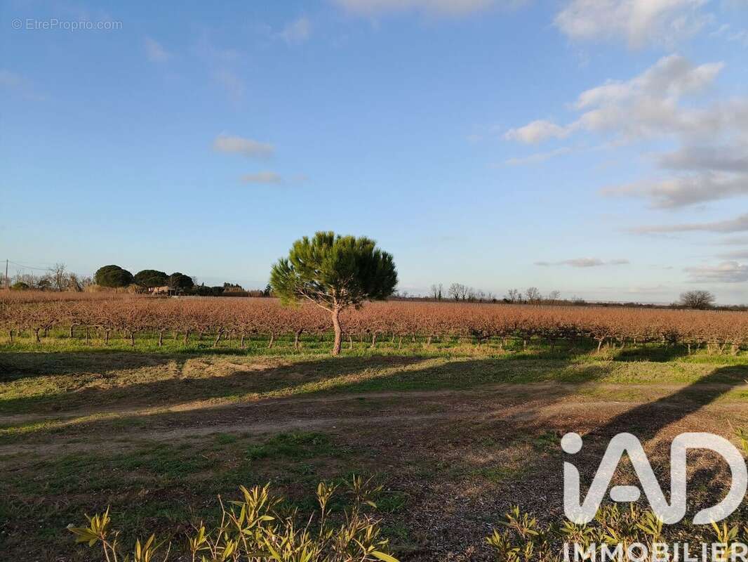 Photo 4 - Maison à SAINT-LAURENT-D'AIGOUZE