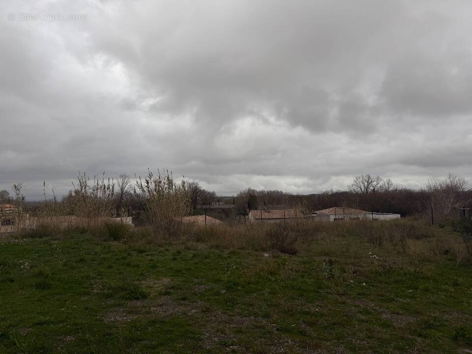 Terrain à SAINT-THIBERY