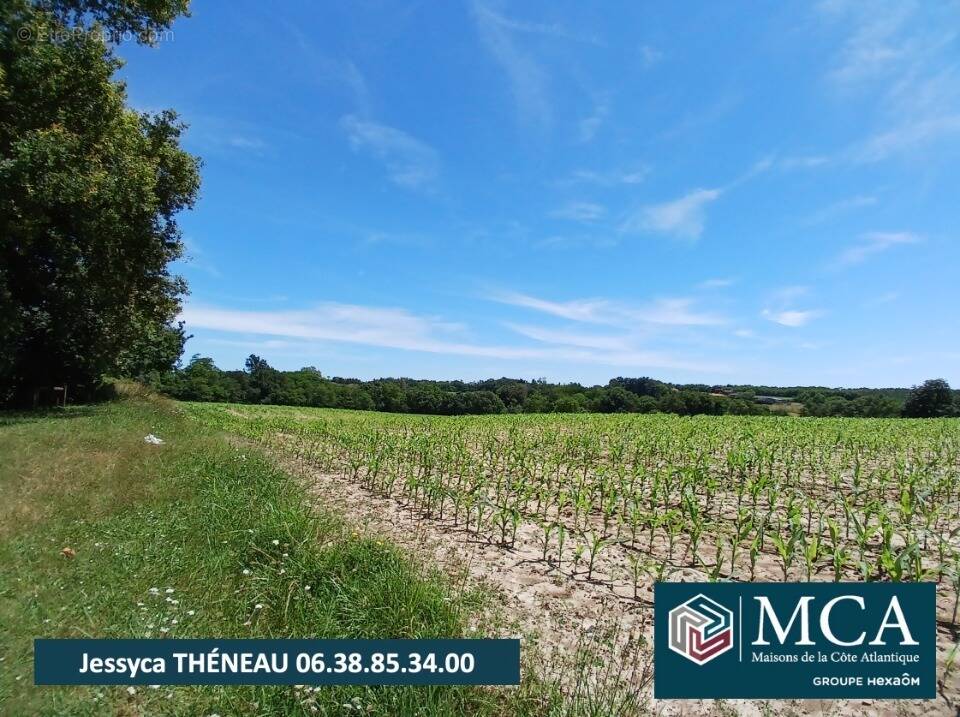 Terrain à MUGRON