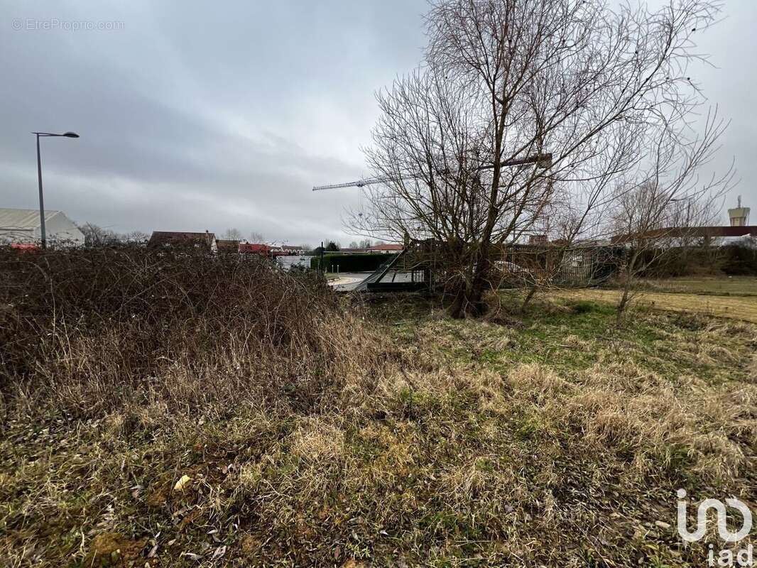 Photo 4 - Commerce à CHEVRY-COSSIGNY