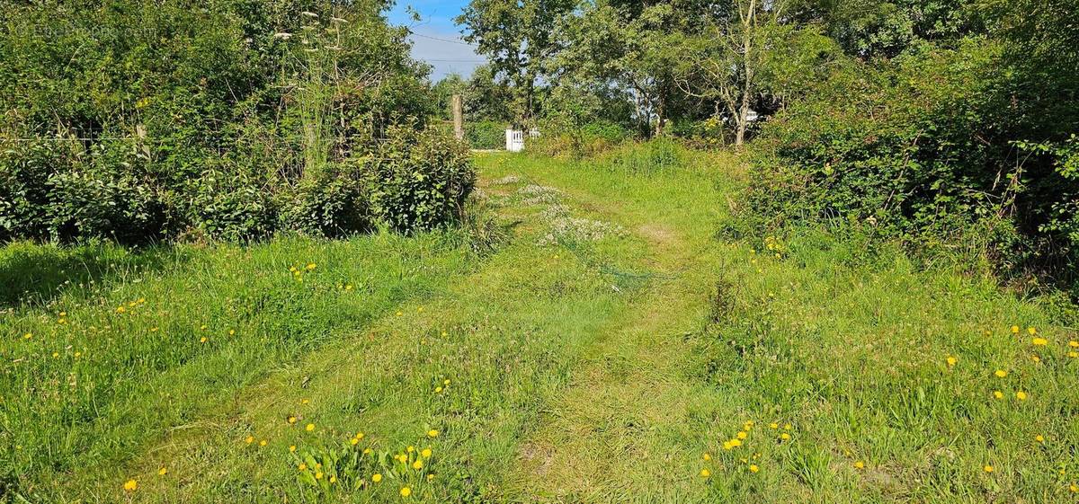 Photo 6 - Terrain à LA PLAINE-SUR-MER