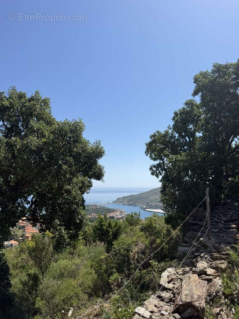 Terrain à COLLIOURE