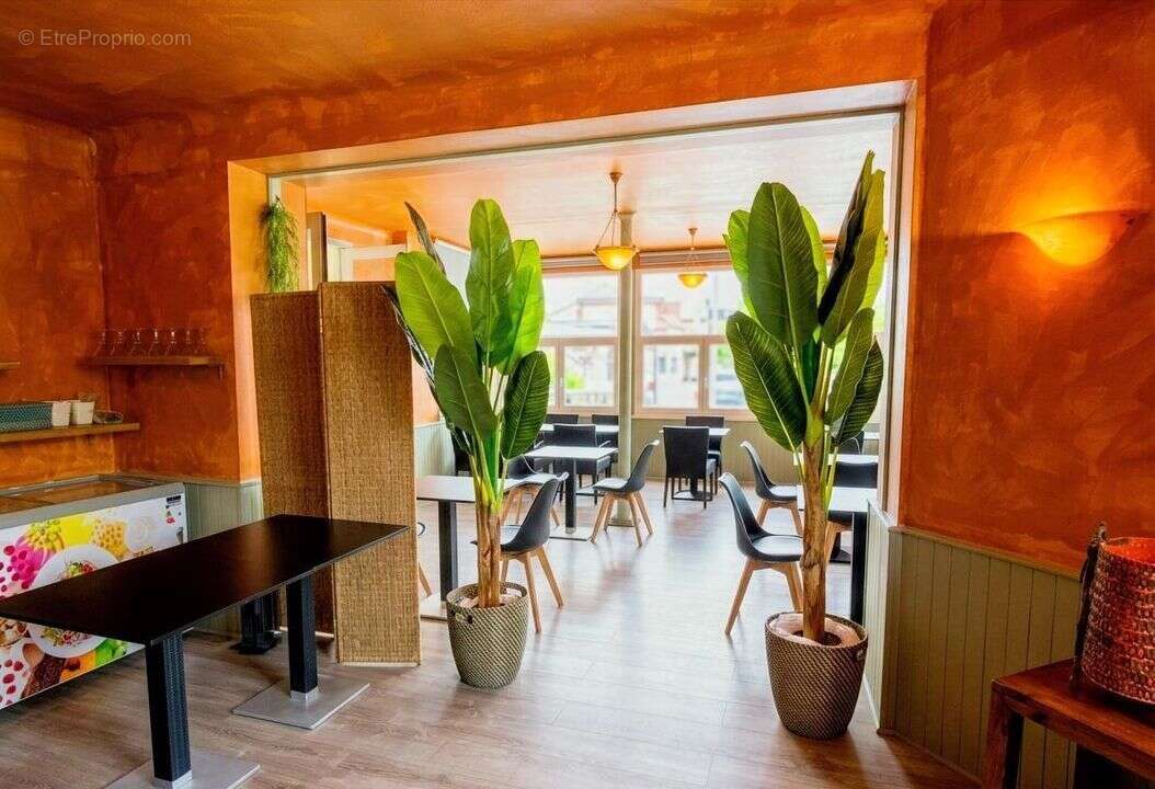 Commerce à CAZAUBON