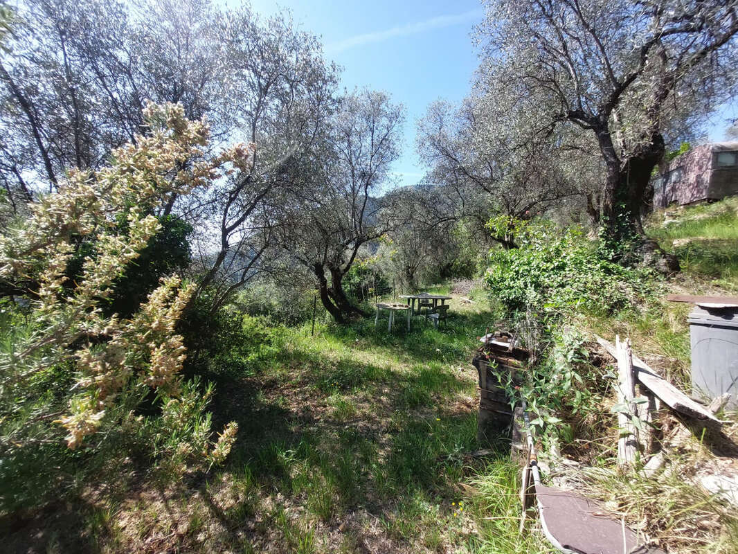 Terrain à BREIL-SUR-ROYA