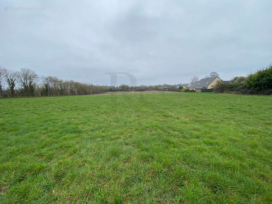 Proche POTIGNY - Terrain Constructible de 1044 m² - photo 4