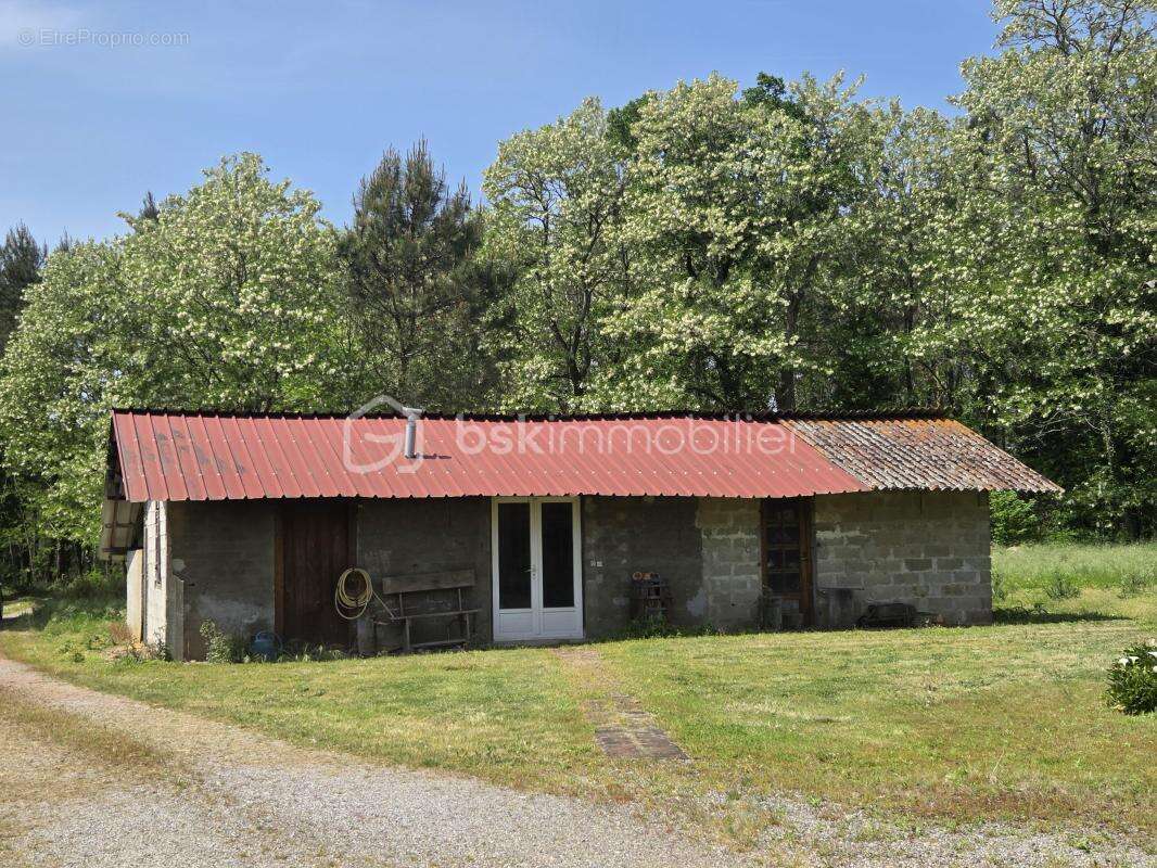 Maison landaise au cœur de la nature - photo 15