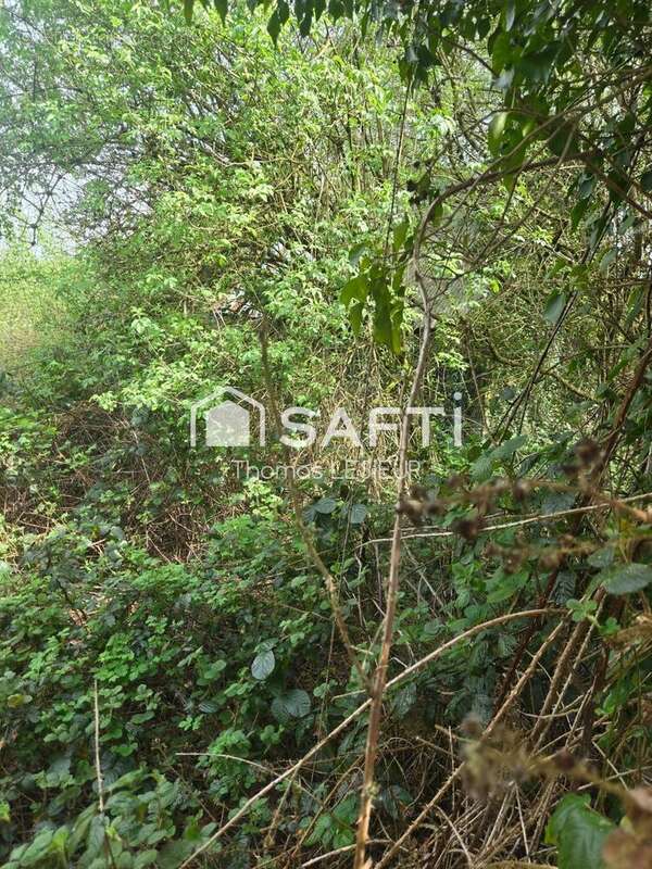 Photo 5 - Terrain à LA FERRIERE-AUX-ETANGS