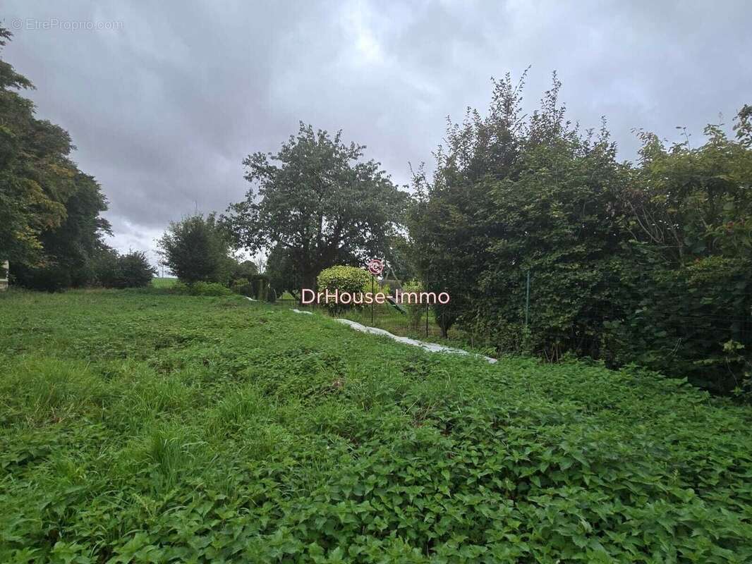 Terrain à ROYE