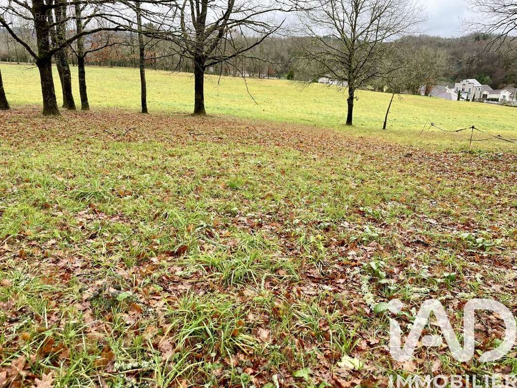 Photo 3 - Terrain à SAINT-PARDOUX-LA-RIVIERE