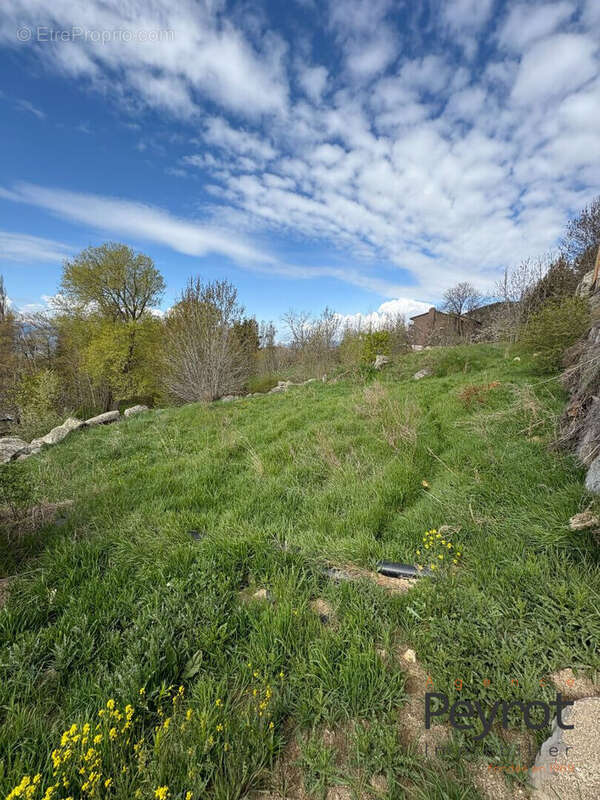 Terrain à FONT-ROMEU-ODEILLO-VIA