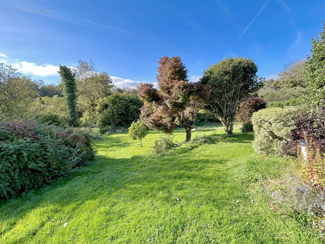 Longère LA FEUILLEE 6 pièce(s) 118 m² - photo 3