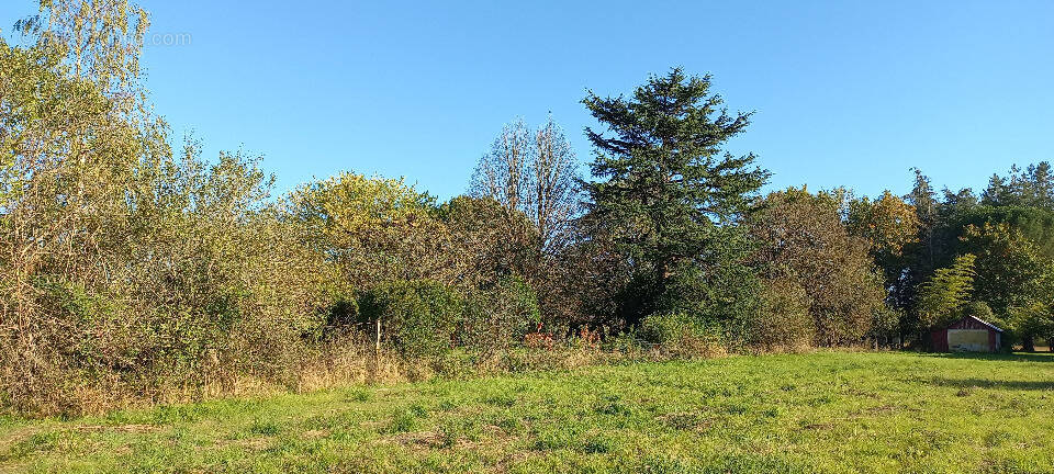 Terrain à SAINT-MARTIAL-D'ARTENSET