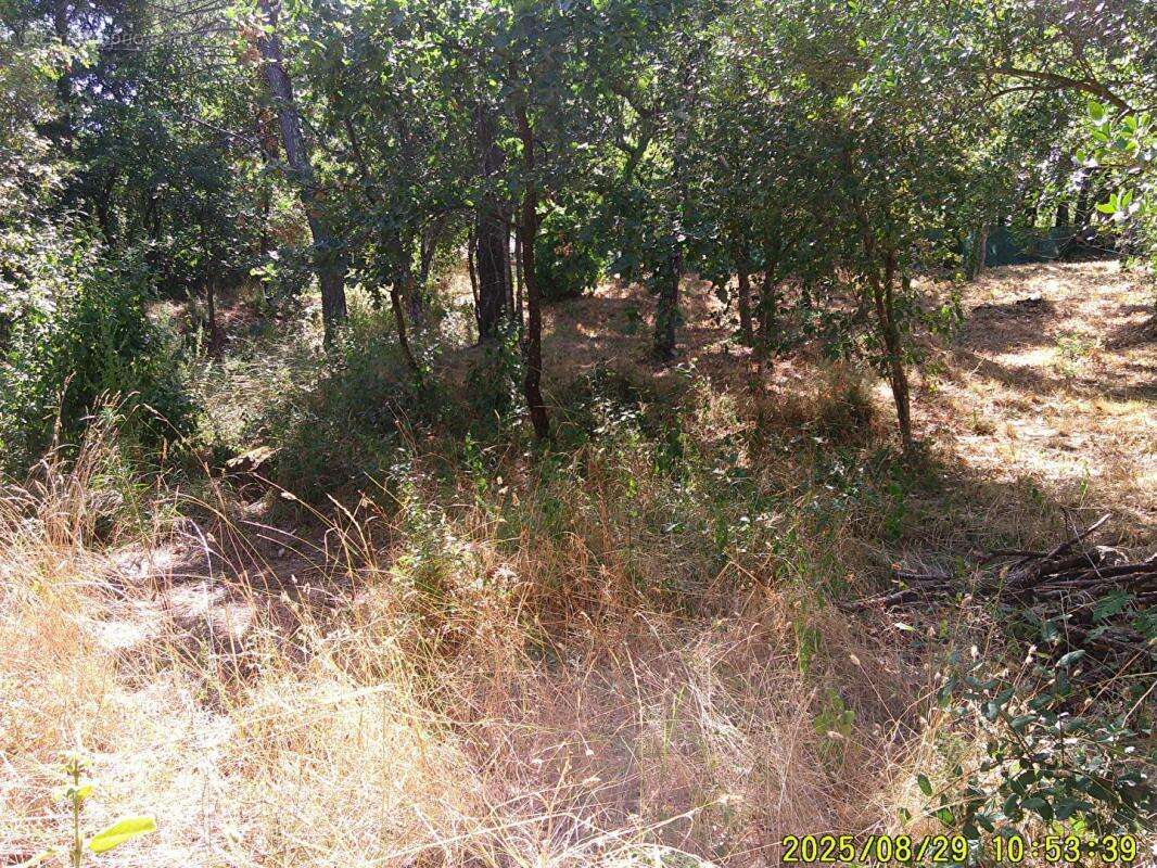 Terrain à LES MAYONS