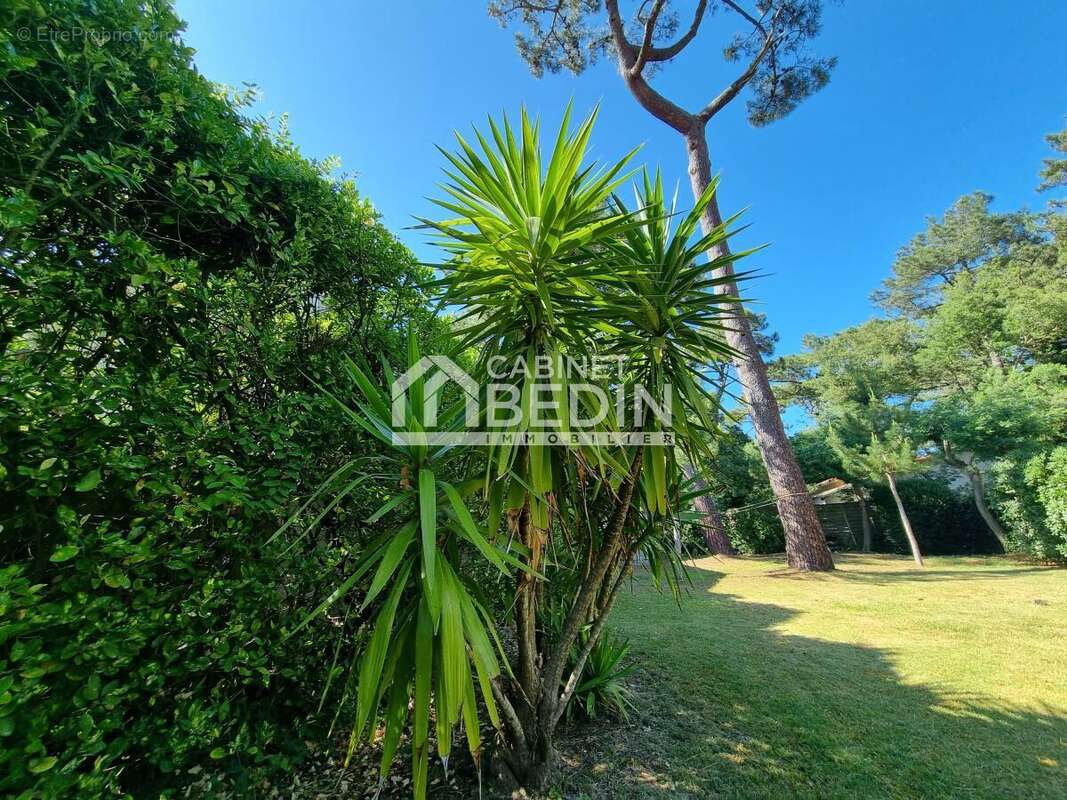 Maison à LEGE-CAP-FERRET